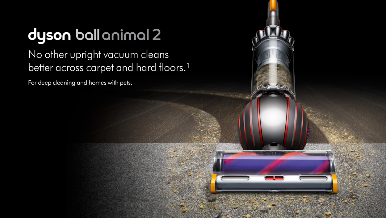 Dyson Ball Animal 2