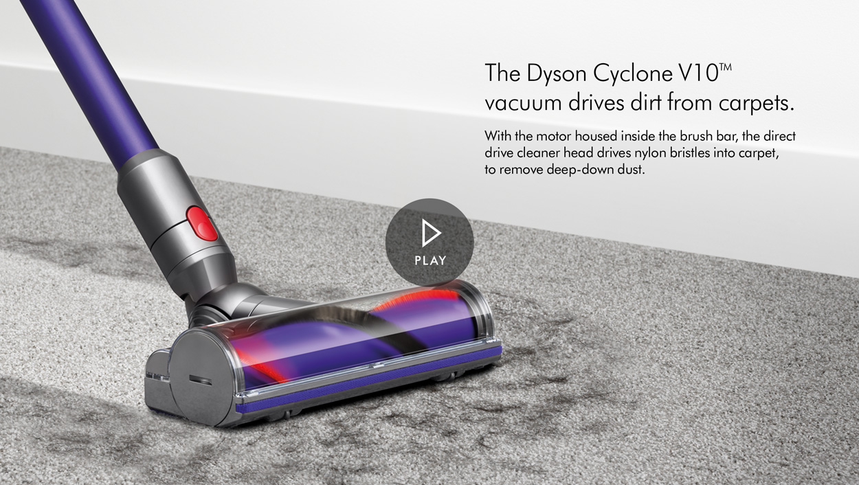 Dyson V10 Animal