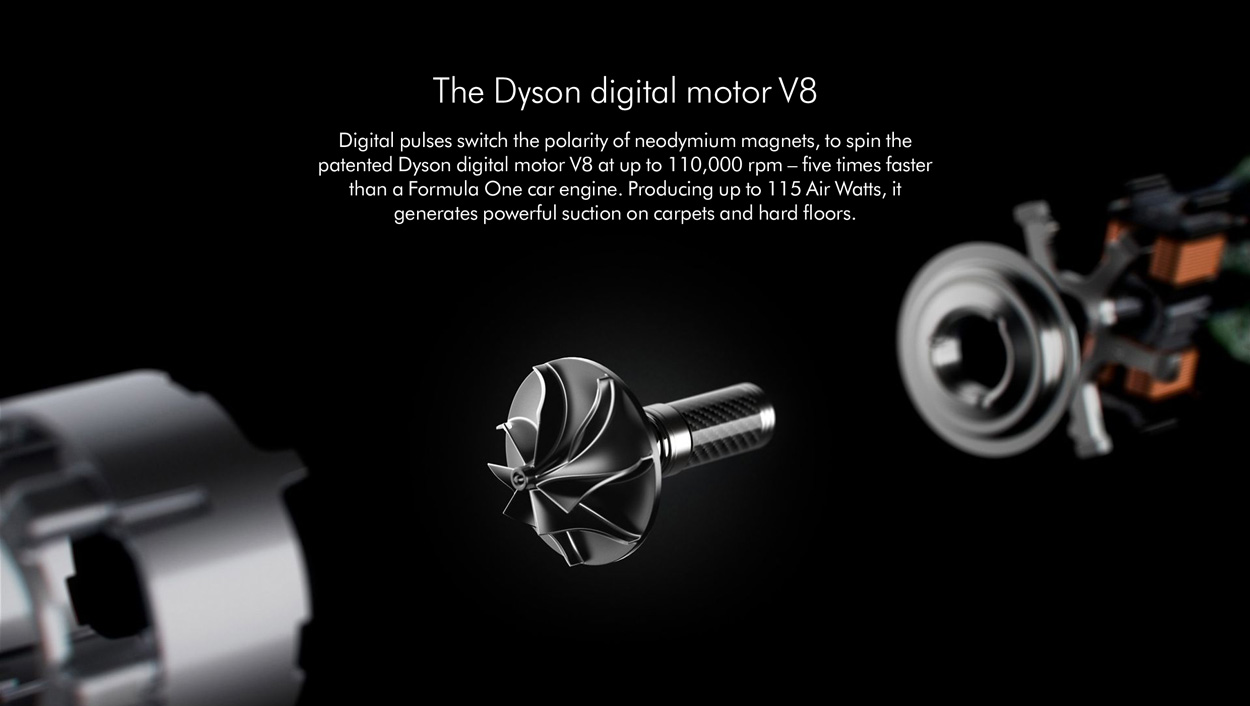 Dyson V8 Animal